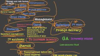 prelabor rupture of membrane PROM 2 [upl. by Ajile]