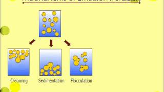 Mechanism Emulsion Instability [upl. by Eimmij]