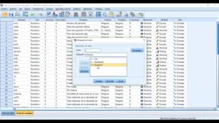 Transformación y Analisis estadistico descriptivo con SPSS [upl. by Theona]