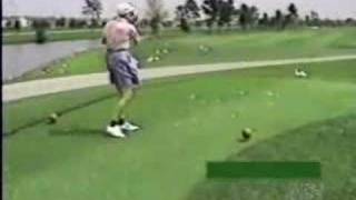 Golfer Hits Bird Accidentally [upl. by Llednol899]