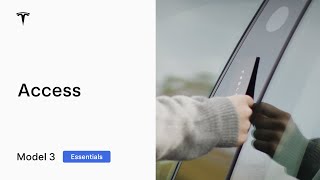 Access  Model 3 Essentials [upl. by Cita]
