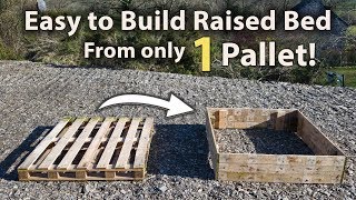 How to Build a Raised Bed from 1 Pallet FREE and Easy [upl. by Gurango251]