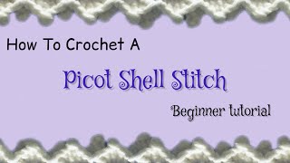 Picot Shell Stitch Beginner Crochet Tutorial [upl. by Oelc]