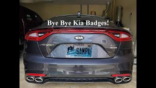 Kia Stinger GT  How NOT to remove car emblem and use touch up paint [upl. by Eisele215]