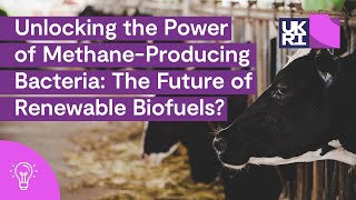 Unlocking the Power of MethaneProducing Bacteria The Future of Renewable Biofuels [upl. by Stutzman]