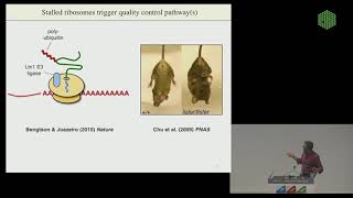 EMBL Keynote Lecture  Quality Control of Nascent Proteins Ramanujan Hegde [upl. by Meekyh]