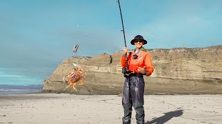 2024 Dungeness Crab Snaring a Secret Beach in California Keepers Almost Every Pull [upl. by Sill239]