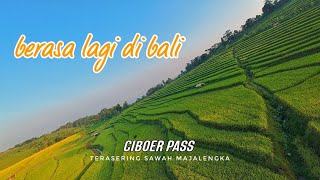 Ciboer Pass Majalengka  Terasering Sawah nya Mirip Seperti di Bali  TRAVELING BEBAS 121 [upl. by Beebe671]