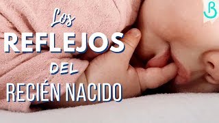 👶🏻👌🏻Los REFLEJOS del RECIÉN NACIDO  Baby Suite by Pau [upl. by Bearce]