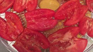 come fare pomodori secchi con essiccatoredried tomatoestomates secos [upl. by Rolfe]