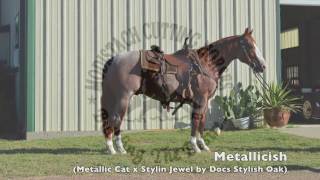 Metallicish by Metallic Cat  2014 red roan stallion [upl. by Farrah]