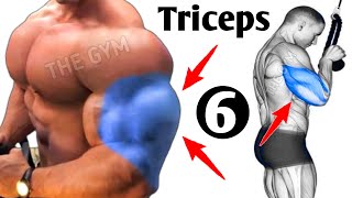 6 Perfect Triceps Exercises Get Huge Arms [upl. by Annaehs986]