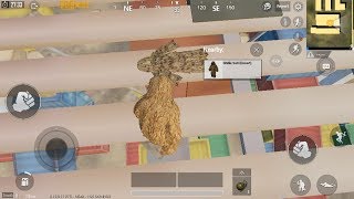 PUBG MOBILE  Ghillie suit dark brown and desert Location in training mode [upl. by Diamante]