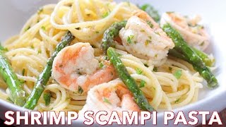 Shrimp Scampi Pasta Recipe  Easy Dinner Dish [upl. by Nilde722]