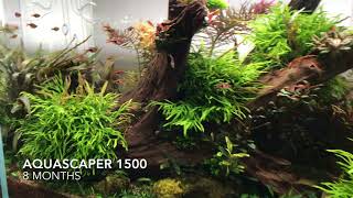 Full Aquarium Gardens Aquascape Showroom Update July 2018 [upl. by Oruasi898]