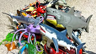 Sea Animals  Shark Dolphin Whale Octopus Manta Ray Squid Beluga Orca Hermit Crab 13 [upl. by Arlin49]