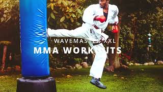 MMA training  Karate Workout  CENTURY WAVEMASTER XXL [upl. by Maxima]