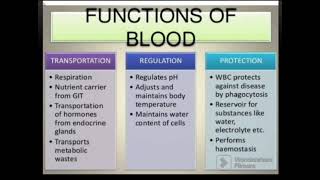 Module 3a  Blood Physiology Part 1 [upl. by Jackson]