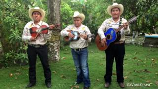 Sones Huastecos en Nahuatl  Xochipitzahuatl y Boda Indígena [upl. by Pond]