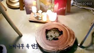 Zelkova woodcraft epoxyresin coi in the pond😚어야더야🧡 느티 레진연못 비단잉어 구어도 [upl. by Aissatsana]