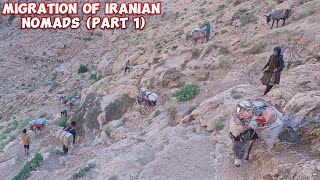 Journey of Iranian Nomads Trekking the Mountain Path with Donkeys  Rural Life amp Migration Part 1 [upl. by Amjan]