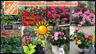 🌸🌺The Home Depot Beautiful AnnualPerennial Flowers  Shop With Me thehomedepot gardencenter [upl. by Rector]