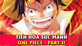 Tiến Hóa Sức Mạnh One Piece【 Part 2】 Tiến Đến Đại Hải Trình [upl. by Orlov]