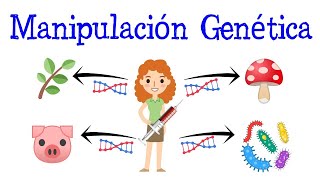 💉¿Qué es la Manipulación Genética👨 Fácil y Rápido  BIOLOGÍA [upl. by Rahcir]