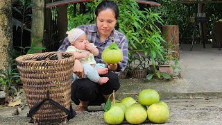 Complete the bathroom  Go to the forest to pick grapefruits to sell at the market  Single mom life [upl. by Gladi437]