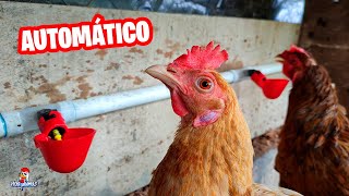 Cómo instalar BEBEDEROS AUTOMÁTICOS para gallinas 🐔🐓 Crea tu Propio Sistema Automatizado [upl. by Sac533]