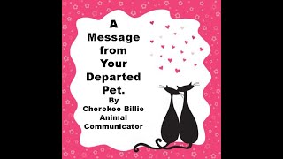 A Message from Your Departed Pet [upl. by Corson]