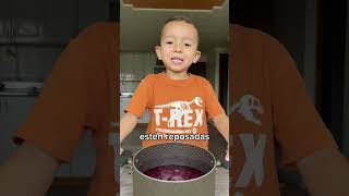 Jugo de Uva 🍇 cocinandoconmatthew jugonatural uva saludable batidosaludable smoothie fyp fy [upl. by Chenee620]