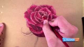 How to Draw a Rose with Colored Pencils [upl. by Ecirtram375]