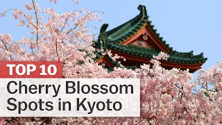 Top 10 Cherry Blossom Spots in Kyoto  japanguidecom [upl. by Sonja]