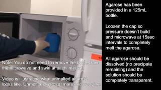 Agarose Gel Preparation [upl. by Durwood]