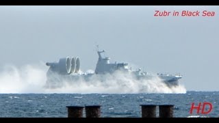 Зубр в Чёрном море  Zubr in Black Sea [upl. by Adalard]