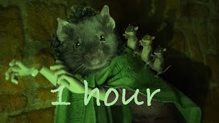 Bruno but its all rats  1 hour [upl. by Vandervelde]