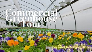 Plant Nursery Tour amp Mini Haul plantnursery plantnurserytour zone4 [upl. by Elac]