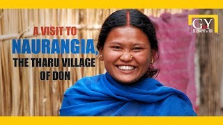 The Tharu of Don Valley  Valmiki Forest  Matriarchal and Progressive [upl. by Ynhoj]