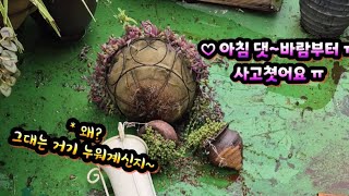 사고친 아침 깨비맘 엉덩이 파워 최강파워ㅋㅋㅋ♥️커피한잔 실방시작해요 [upl. by Cusack]