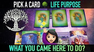 Pick a Card reading  LIFE PURPOSE quotWhat you came here to doquot [upl. by Eecram]