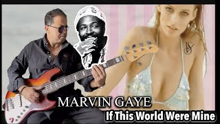 Marvin Gaye  If This World Were Mine Bass Cover [upl. by Kram]