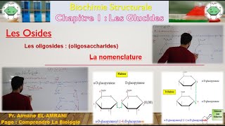 Séance 14  Les Osides  Les oligosides oligosaccharides [upl. by Brandes]