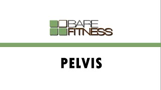 Bare Fitness  PELVIS Full Workout [upl. by Nylirrehs]