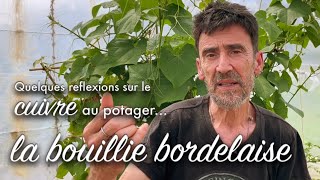 Bouillie bordelaise et cuivre au potager  amis ou ennemis [upl. by Gnuhc545]