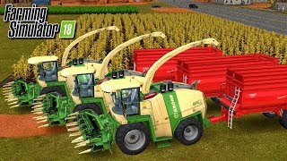 18 Akcja kukurydza  Timelapse   quotOd zera do Milioneraquot Farming Simulator 18  FS 18 [upl. by Rinee]