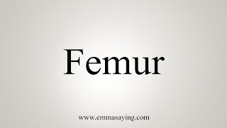 How To Say Femur [upl. by Ivel202]