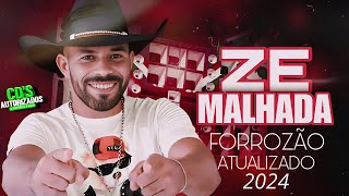 ZE MALHADA OFICIAL  FORROZÃO ATUALIZADO 2024 [upl. by Rimat577]