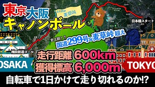 自転車で2127mの麦草峠を超えて東京から大阪に１日でたどり着けるのか試してみた【東京大阪キャノンボールR299麦草峠超え】 [upl. by Dnalwor474]