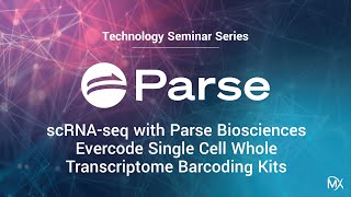 TSS scRNAseq with Parse Biosciences Evercode Single Cell Whole Transcriptome Barcoding Kits [upl. by Lemkul]